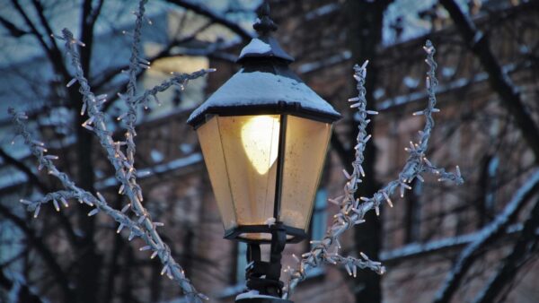 Jak zabezpieczyć ogród na zimę?