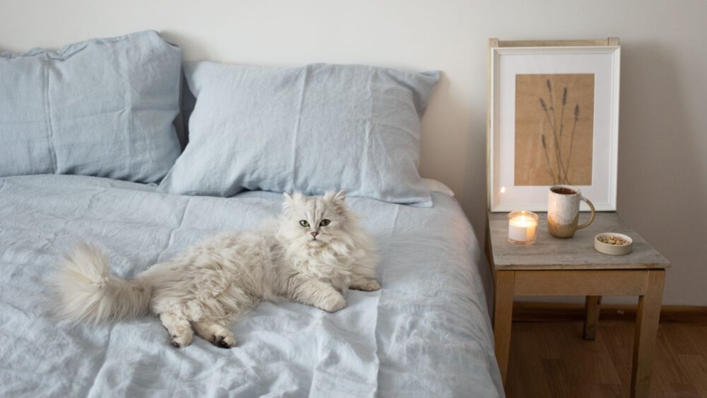 Z jakiego materiału najlepiej kupować pościel? – Podpowiadamy!